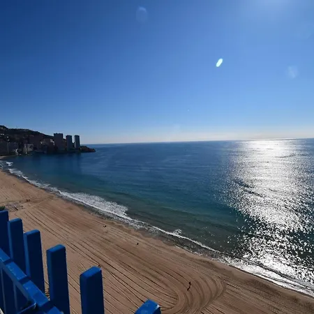 Palmeras - Arena Benidorm
