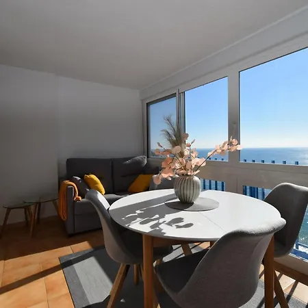 Palmeras - Arena * Benidorm