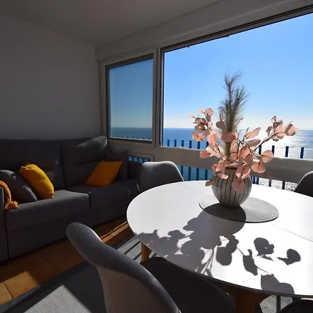 Palmeras - Arena Benidorm