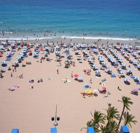 Palmeras - Arena Apartamento Benidorm