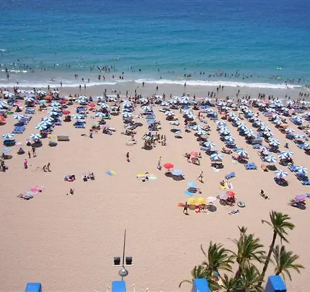Palmeras - Arena Apartment Benidorm