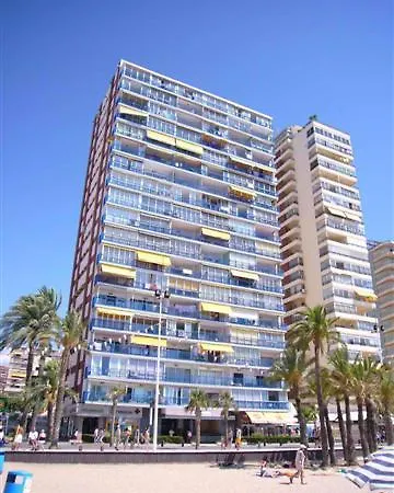 Palmeras - Arena