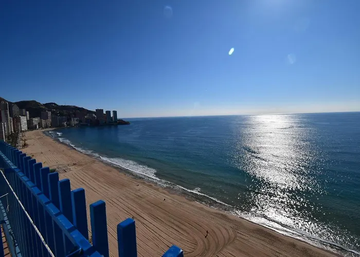 Palmeras - Arena Benidorm